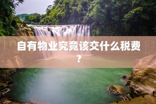 自有物业究竟该交什么税费？