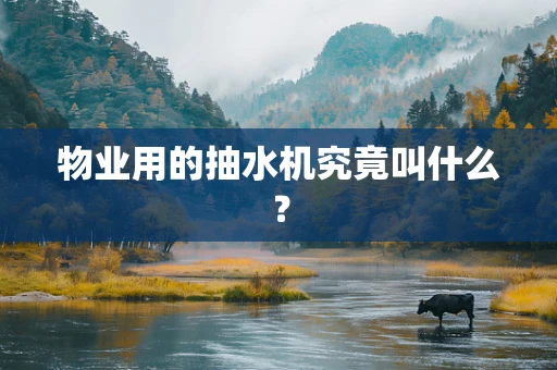 物业用的抽水机究竟叫什么？