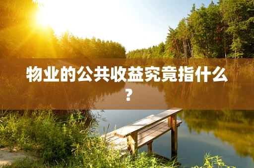 物业的公共收益究竟指什么？