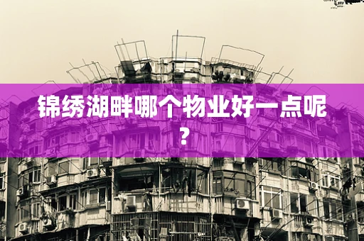 锦绣湖畔哪个物业好一点呢？