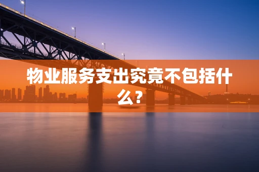 物业服务支出究竟不包括什么？