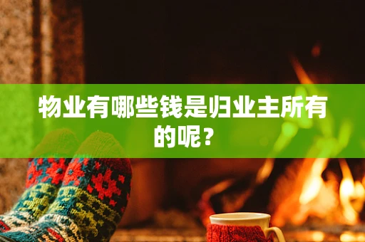 物业有哪些钱是归业主所有的呢？