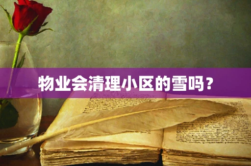 物业会清理小区的雪吗？
