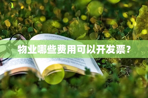 物业哪些费用可以开发票？