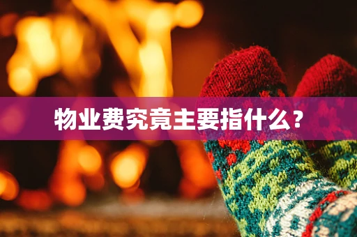 物业费究竟主要指什么？