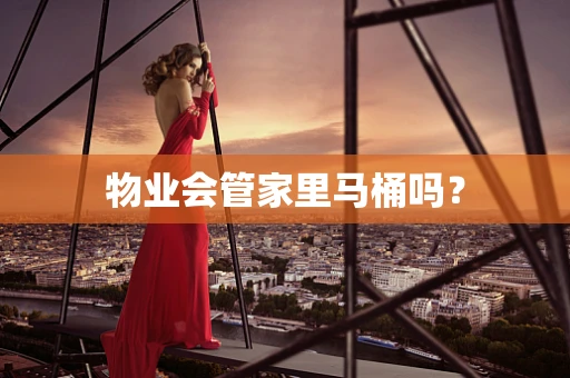 物业会管家里马桶吗？