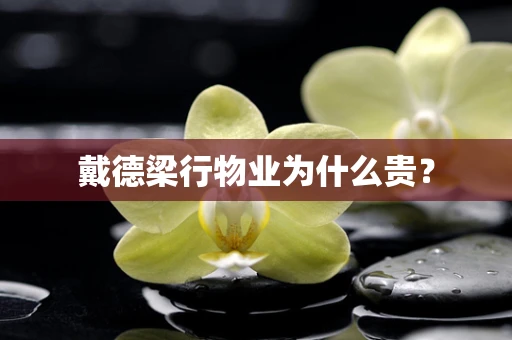戴德梁行物业为什么贵？