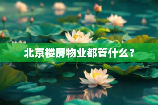 北京楼房物业都管什么？