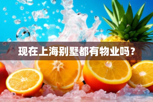 现在上海别墅都有物业吗？