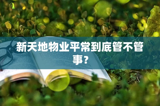新天地物业平常到底管不管事？