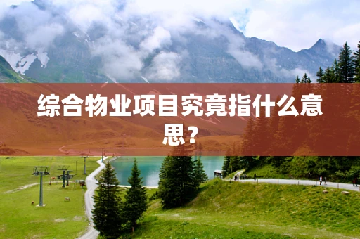 综合物业项目究竟指什么意思？