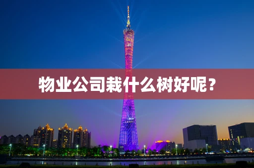 物业公司栽什么树好呢？