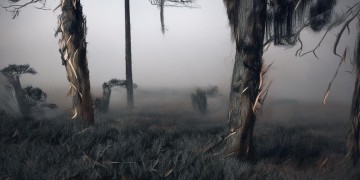 合肥卖房子需要物业盖章吗？