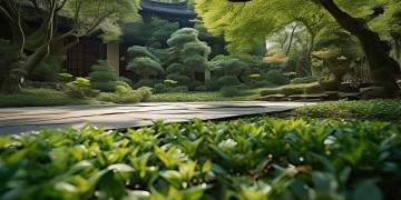 绵阳龙汇花园的物业究竟叫什么？