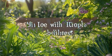 物业为什么招残疾人？