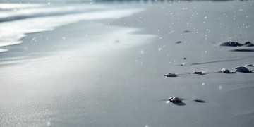 银滩物业冬天会赶业主吗？