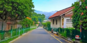 丽水路物业收费标准是怎样的呢？