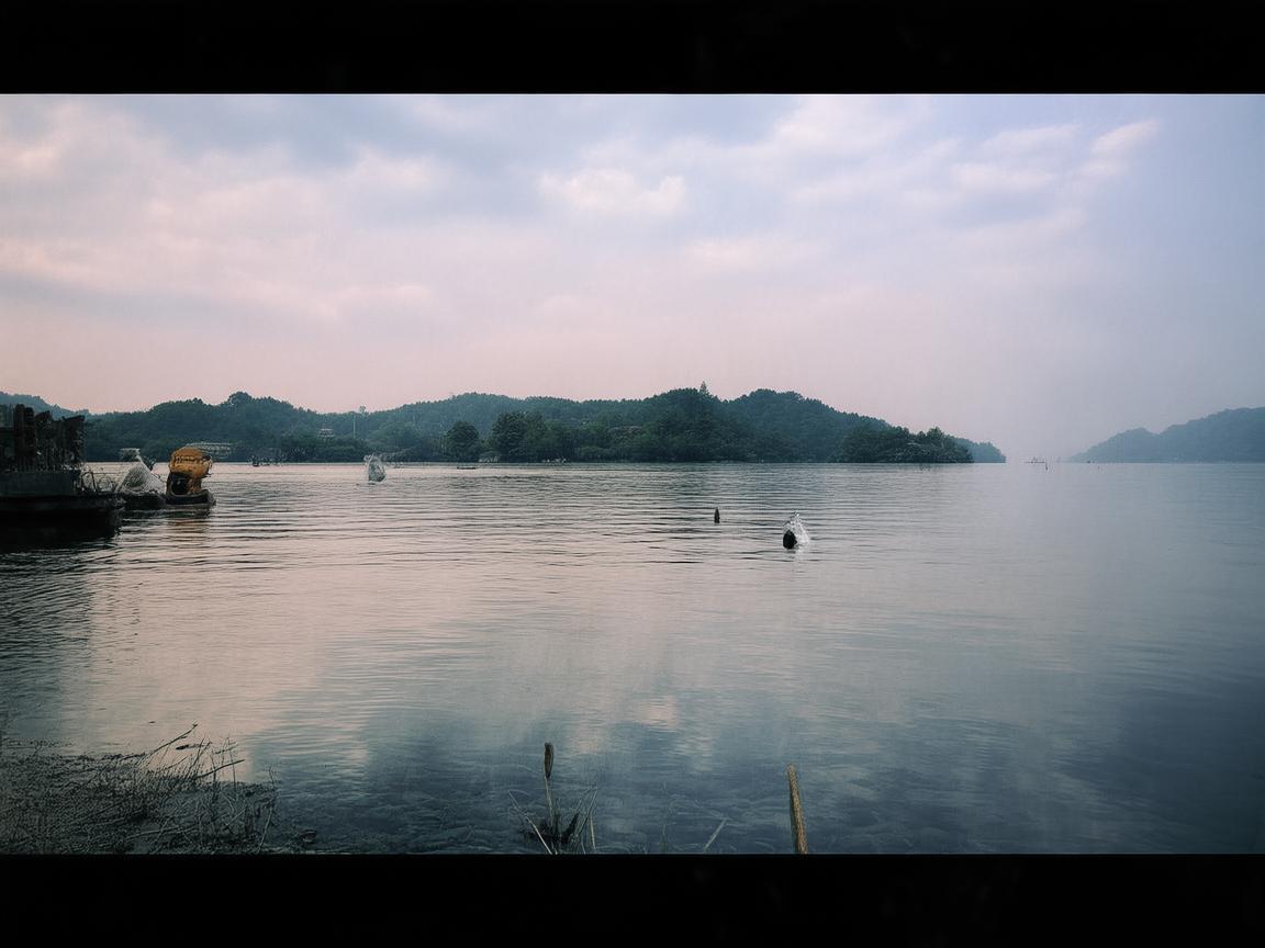 合肥智慧社区还需要物业吗？